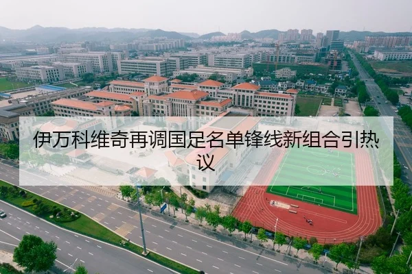 伊万科维奇再调国足名单锋线新组合引热议 - TIANBO
