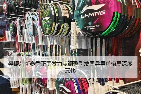 樊振东新赛季正手发力点调整引发国乒男单格局深度变化 - TIANBO